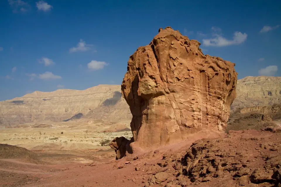 תצורת הפטרייה בפארק תמנע